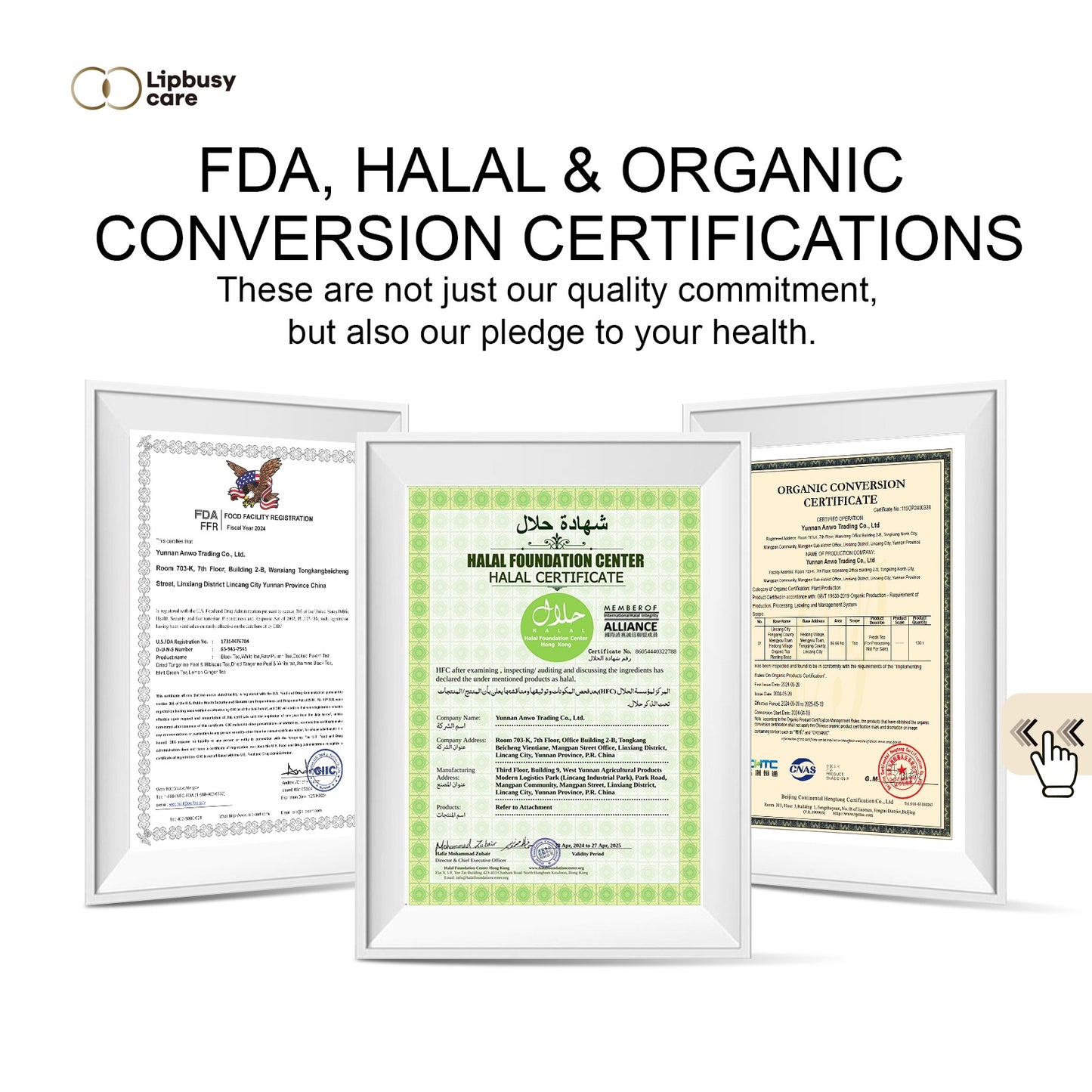 Naturally Biodegradable Tea Bags - Natural Whole Leaf Herbal & Green Tea