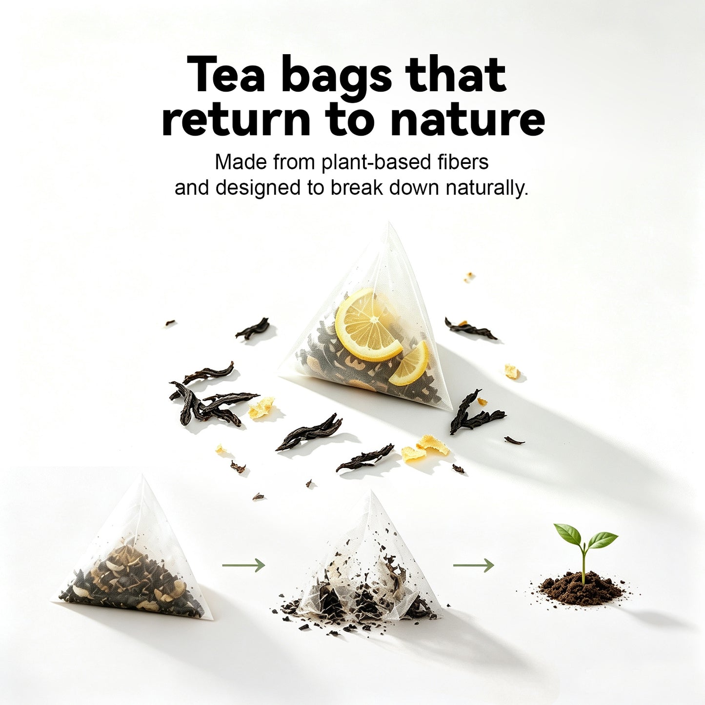 LIPBUSYCARE Halal-Certified Tea Bags, 7 Sachets - 7 Blends with Organic Tea-Garden Sourcing