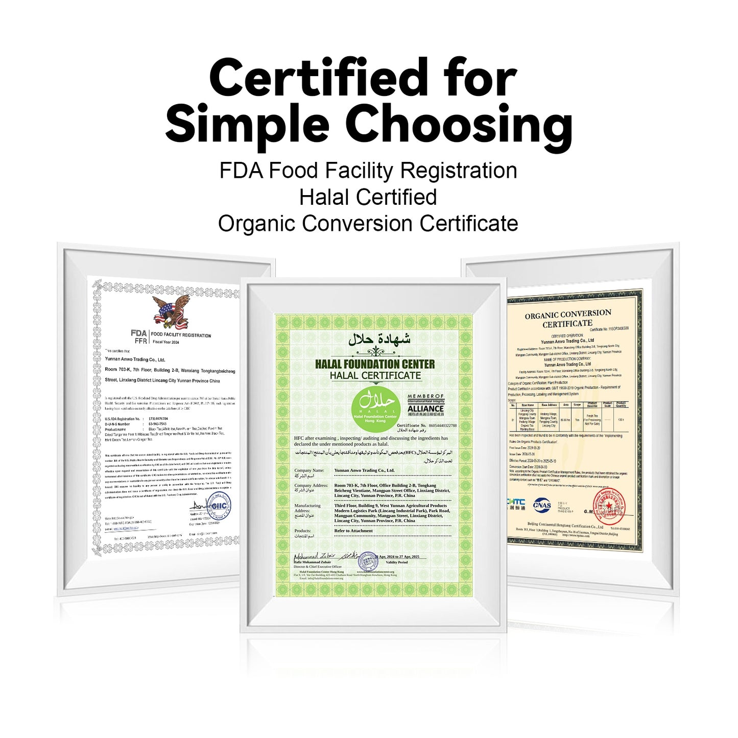 LIPBUSYCARE Halal-Certified Tea Bags, 7 Sachets - 7 Blends with Organic Tea-Garden Sourcing
